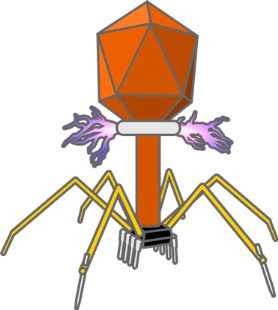 Hardwear.io NL 2025 Hardware CTF